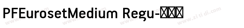 PFEurosetMedium Regu字体转换 PFEurosetMedium Regu字体转换